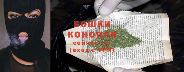 a pvp Новозыбков