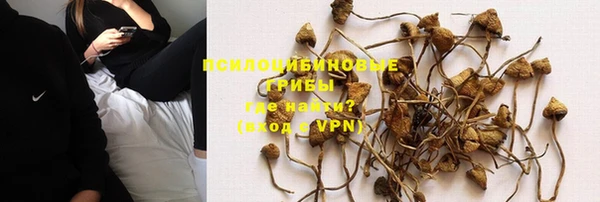 индика Абинск