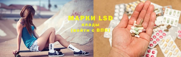 индика Абинск