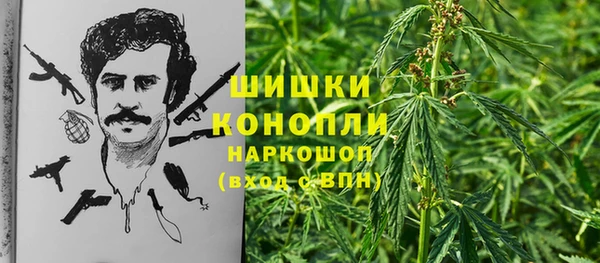a pvp Новозыбков