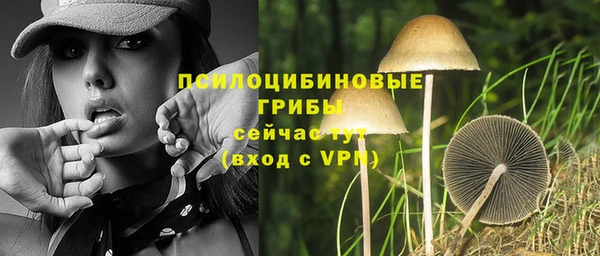 индика Абинск
