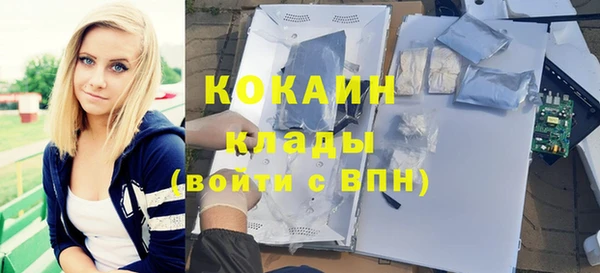 индика Абинск