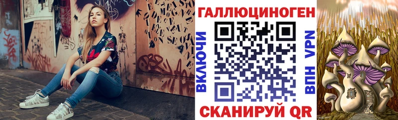 Псилоцибиновые грибы MAGIC MUSHROOMS  Владикавказ 